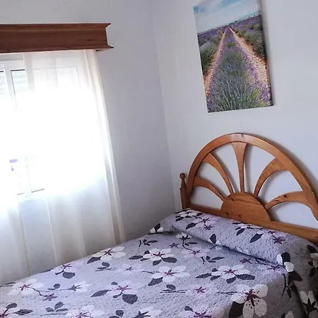 La Malva 2 *